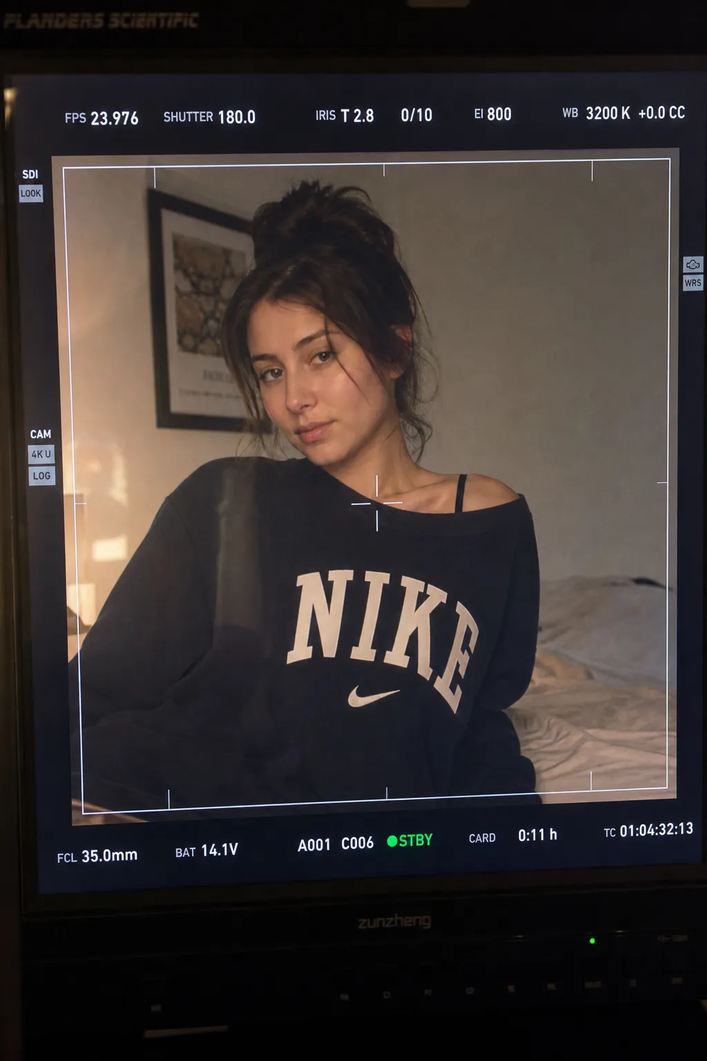Director's Monitor
